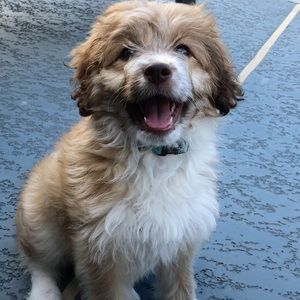 Meet your Posher, Ashlynn